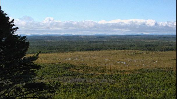 Остров Грейам в Британской Колумбии