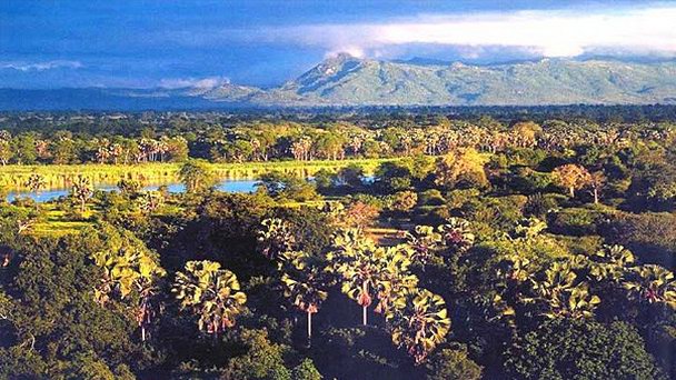 Провинция Коппербелта в Ливингстоне