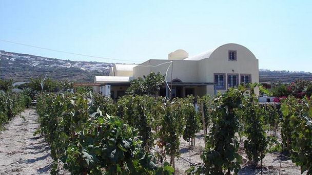 Винный завод Sigalas на Санторини