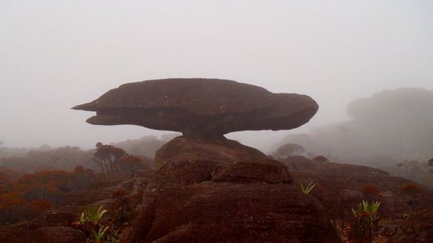 Гора Черепаха в Сьюдад-Боливаре