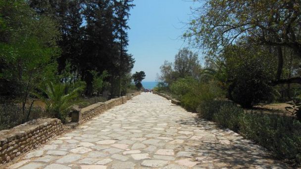 Дорога от Карфагена к термам Антония Пия в Гаммарте