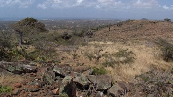 Руины золотых рудников в Мираламар на Арубе