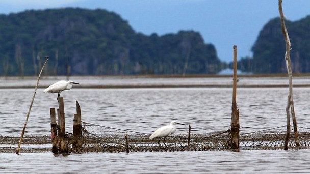 Заповедник Кху Кхут в Сонгкхле