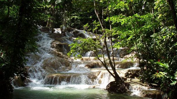 Водопады Данз Ривер в Очо Риос Водопады Данз Ривер в Очо Риос