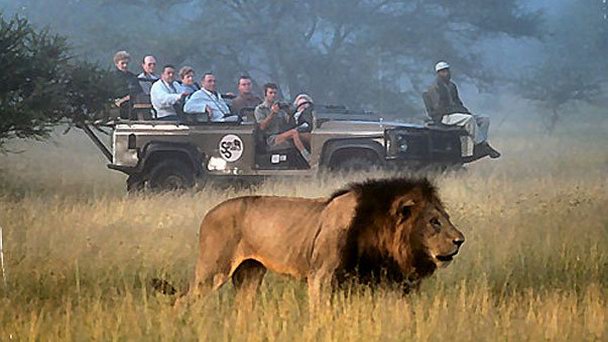 Заповедник Маджете в Лилонгве