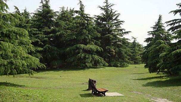 Лесопарк Гончинь в Шанхае