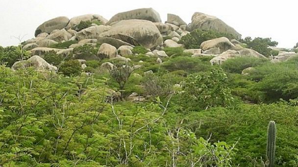 Айо-Рок на Арубе Айо-Рок на Арубе
