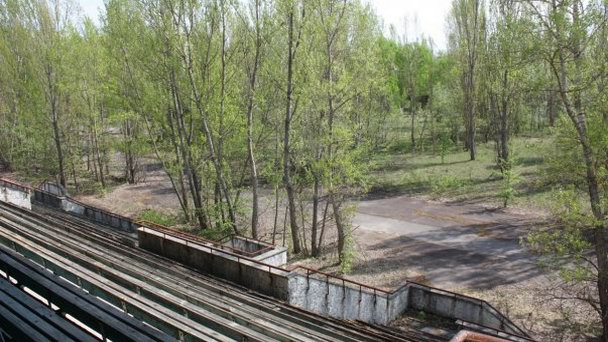 Центральный стадион в Киеве