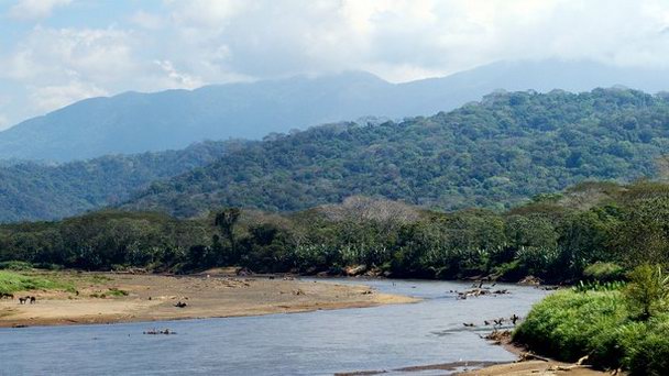 Река Тарколес в Пунтаренасе