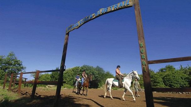 Конюшня Kojan Koral в Дубровнике