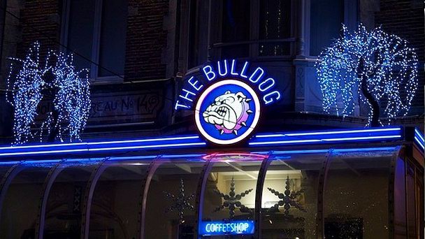 Кафе The Bulldog Coffeeshop в Амстердаме