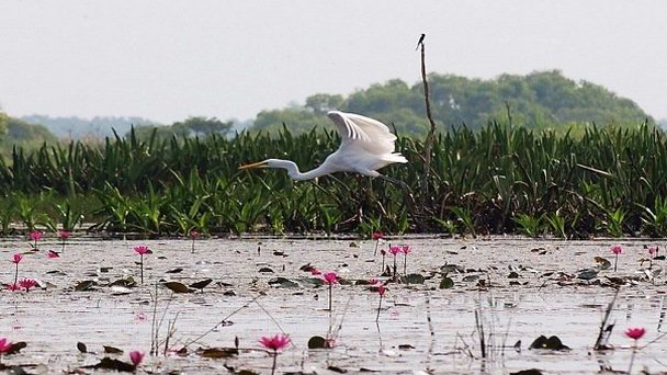 Парк Тал Нои в Сонгкхле