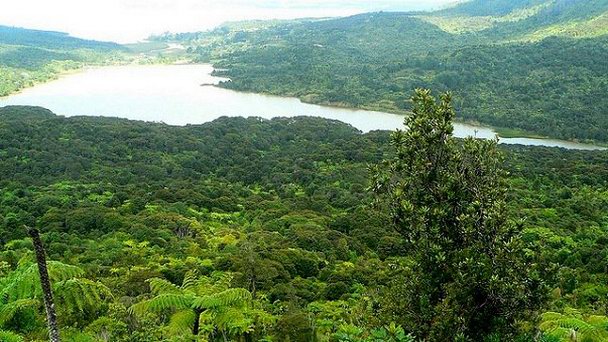 Региональный парк Вайтакерес в Окленде Региональный парк Вайтакерес в Окленде