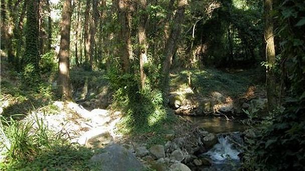 Каньон Кастории в Кастории