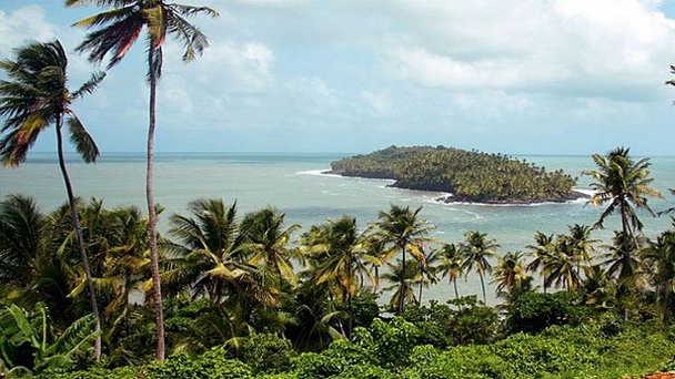 Национальный заповедник Амана в Кайенне