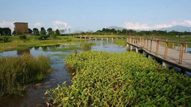 Парк водно-болотных угодий Гонконга Парк водно-болотных угодий Гонконга
