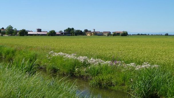 Миланский южно-аграрный парк