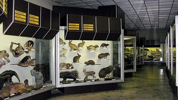 Зоологический музей имени Тадaса Иванаускаса в Каунасе