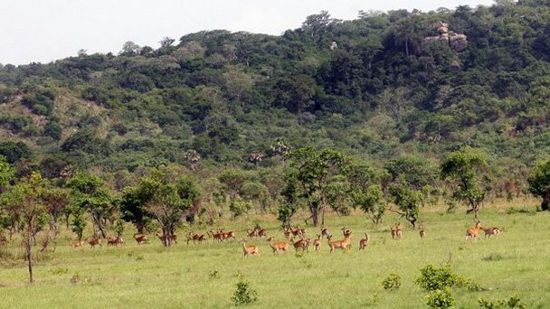 Заповедник Шай-Хилл в Аккре