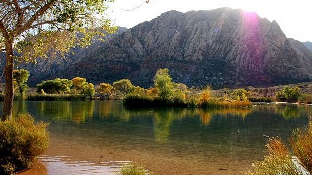 Оазис Тимиа в Ниамее