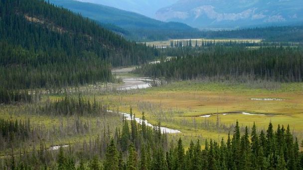 Река Tuchodi в Британской Колумбии Река Tuchodi в Британской Колумбии