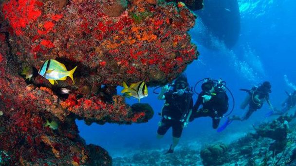 Рифы Санта Роза в Канкуне