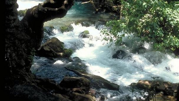 Заповедник Баниас в Кесарии