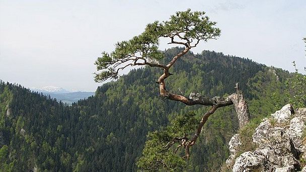 Национальный парк Пьенинский в Кракове