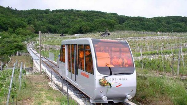 Развалины Фезти в Берне