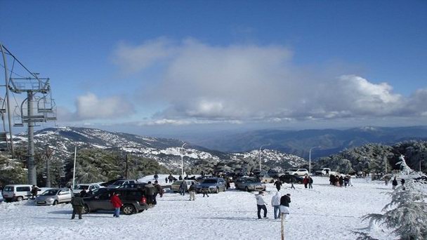 Национальный парк Шреа в Алжире Национальный парк Шреа в Алжире