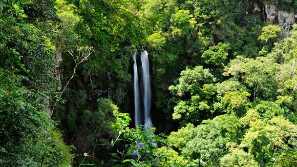 Экологический парк Сперри в Порто Алегре Экологический парк Сперри в Порто Алегре