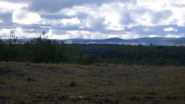Заповедник Кево в Лапландии Заповедник Кево в Лапландии