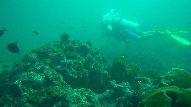 Дайвинг центр на пляже Palolemo в Гоа