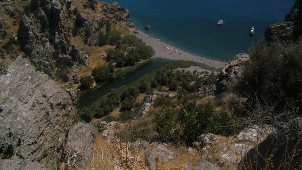 Пальмовая Аллея на Острове Крит