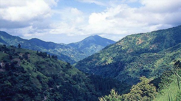 Голубые горы в Кингстоне