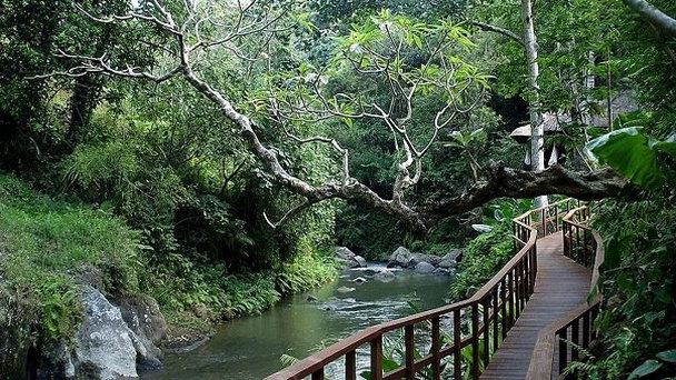 Долина реки Ayung на Бали