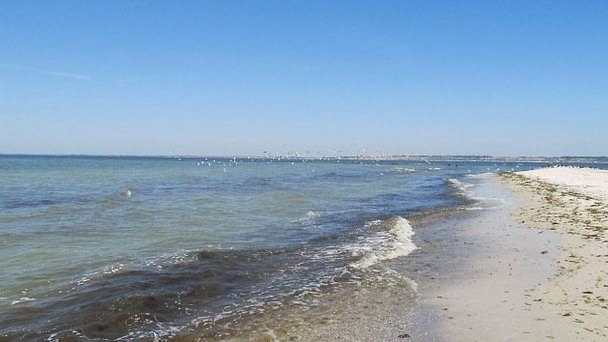 Кинбурнская коса в Очакове