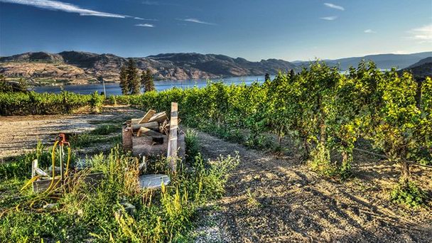 Винодельня Beaumont Family Estate в Британской Колумбии