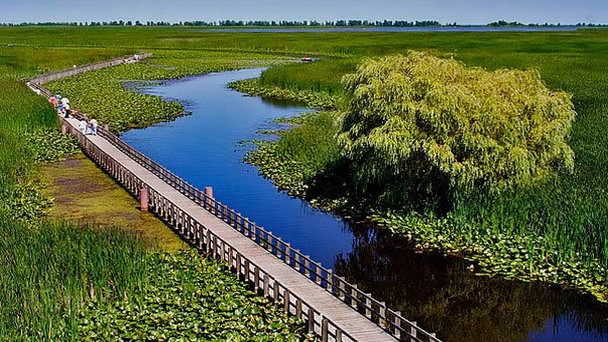 Национальная парковая резервация Пасифик-Рим в Британской Колумбии