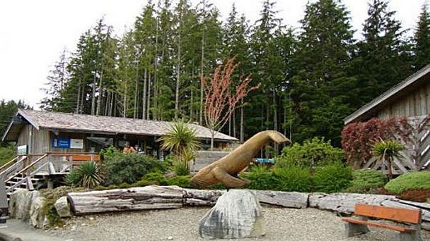 Центр Pacific Rim Visitor в Британской Колумбии