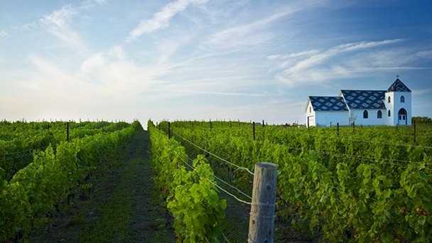 Винодельня Closson Chase на Принц Эдуарда