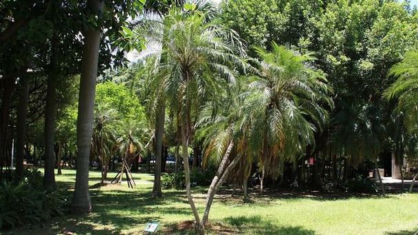 Парк Даань в Тайпее