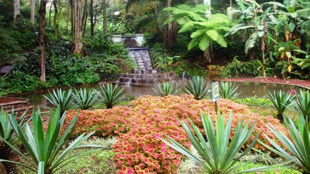 Парк де лос Текахетес в Веракрусе