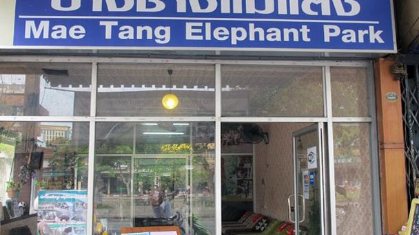 Парк слонов Maetang в Чианг Маи