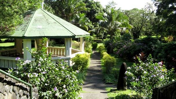 Ботанический сад Турстона на Вити-Леву