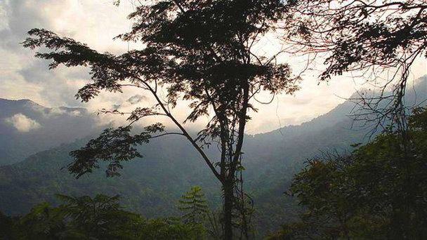 Национальный парк Генри Питера в Каракасе