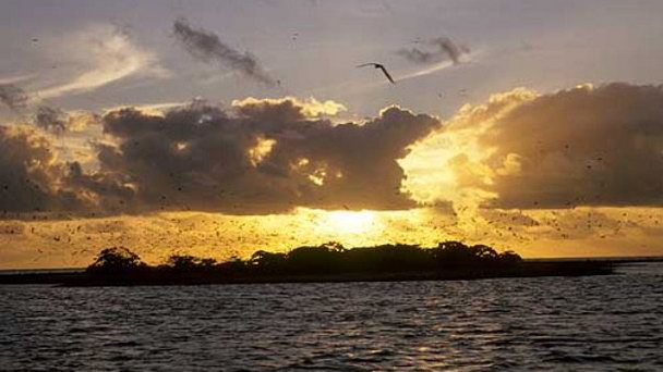 Остров Фишбол на о-вах Лайне