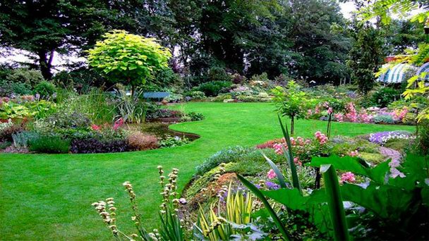 Сад Проростков в Флеволанде