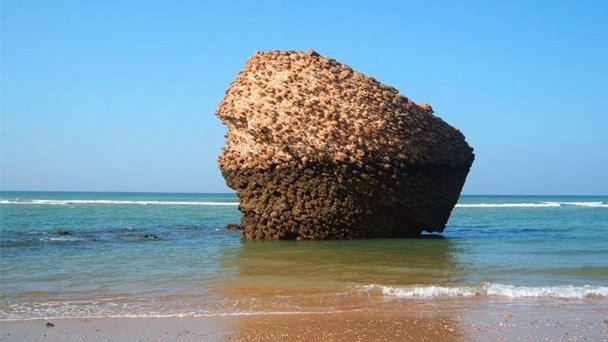 Пляж Маталасканьяс в Кадисе