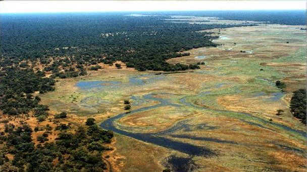 Национальный парк Сен-Флорис в Банги Национальный парк Сен-Флорис в Банги
